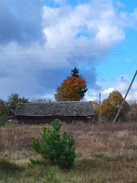 Old building on a forest background Stock Photos