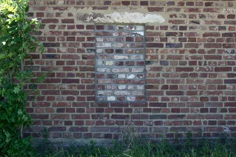 An old building in the forest with bricked up windows Stock Photos