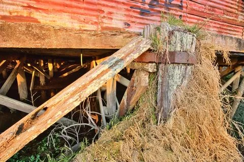 Old Building Foundations Over Growing Stock Photos