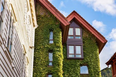 Old building 写真素材