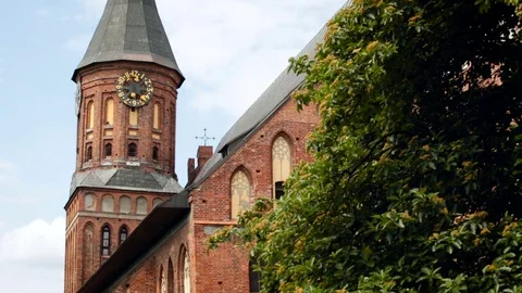Old Building. Red Stone Castle. Church Tower. Tree Foliage. Blue Summer Sky Stock Footage 73823912