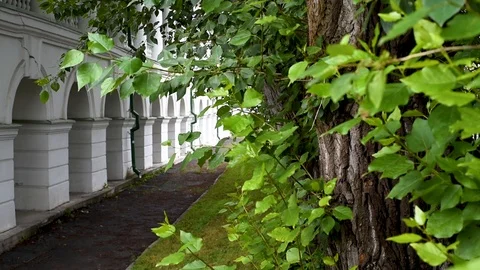 Old building with round arches on the background of trees with large green folia Stock Footage 93378483