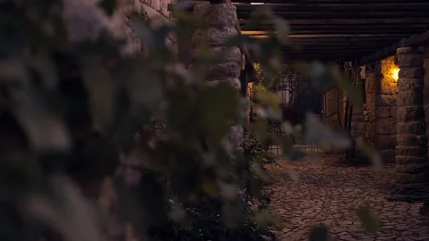 An old building with stone walls in the evening mood 스톡 동영상 118976503