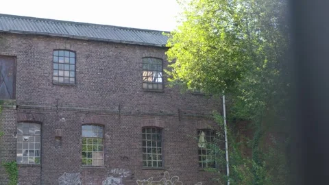 Old building on a sunny day with a tree Stock Footage 240180069