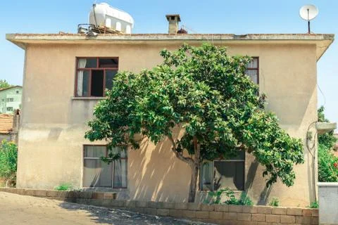 An old building with tree Stock Photos