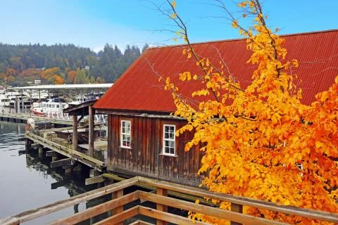 Old building with water front view during fall time Stock Photos