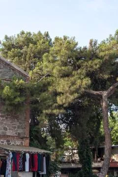 An Old Building at Woods Stock Photos