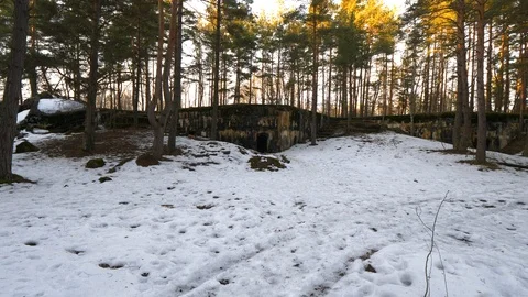 Old bunker in the forest at winter 動画素材 103547441