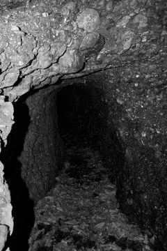 An old bunker from the Second World War. Stock Photos