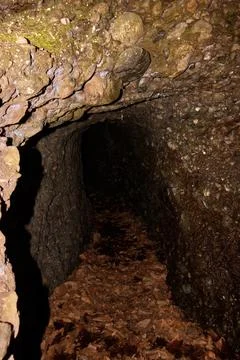 An old bunker from the Second World War. Stock Photos