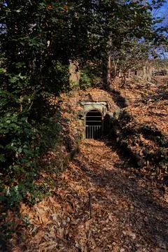 An old bunker from the Second World War Stock Photos