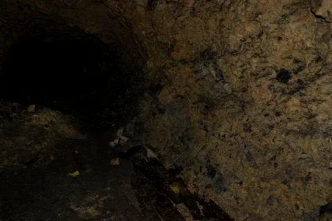 An old bunker from the world war Stock Photos