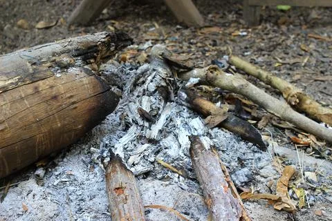 The old burning bonfire only ashes and scraps of wood remain. Stock Photos