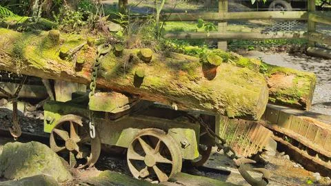 Old Bush Logging Trolley Stock Photos