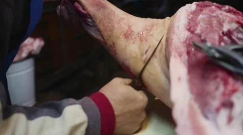 Old butcher cutting pig leg in slow motion Stock Footage 44290216