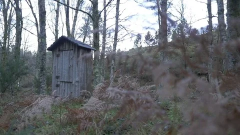 Old cabain in forest woods winter slider Stock Footage 78673559