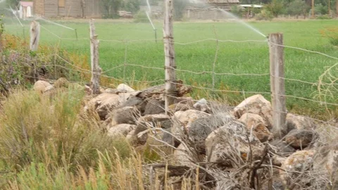 Old cabin 1 Vídeos de archivo 72994457