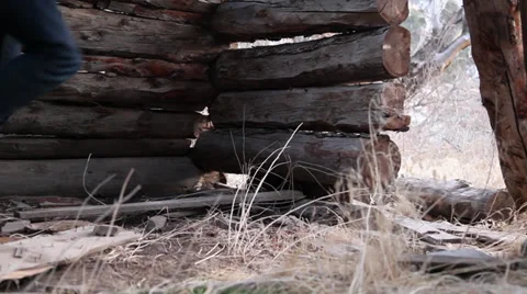 Old cabin dolly exit Stock Footage 27909688