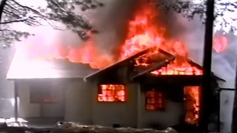 Old cabin in forested area fully involved in fire. (MOS) Stock Footage 79978329