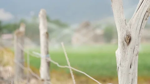 Old cabin rack focus 1 Vídeos de archivo 72994430