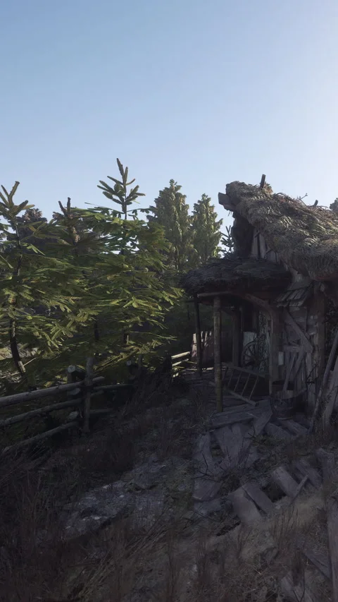 Old cabin surrounded by trees in remote location during daytime Stock Footage 339037154