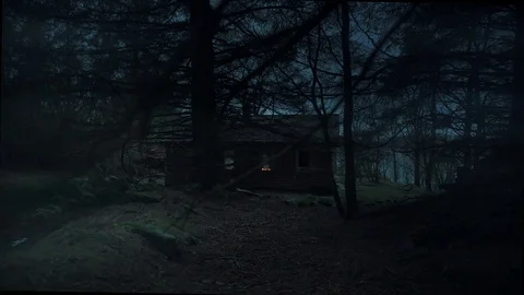 Old Cabin in the woods Stock Footage 73020795