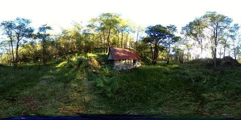 Old cabin in the woods Stockbeeldmateriaal 95226826