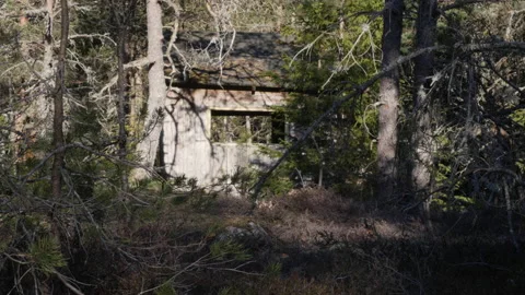Old cabin in the woods Stock Footage 143496080