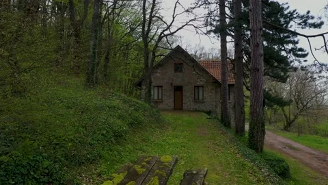 Old cabin in the woods 스톡 동영상 240075717