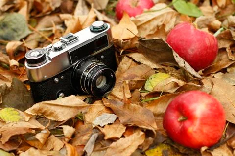 Old camera and apples Stock Photos
