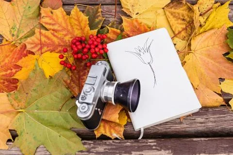 Old camera and notepad with drawing at the autumn leaves Stock Photos