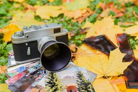 Old camera for the fall foliage and photos Stock Photos
