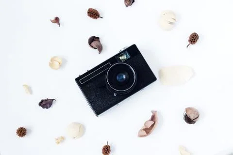 Old camera with flowers on white background flat lay . Stock Photos