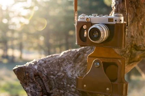 Old camera hanging on a tree Stock Photos