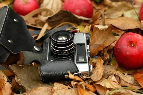Old camera in a leather case and apples on the leaves Stock Photos