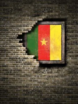Old Cameroon flag in brick wall Stock Illustration