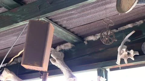 Old can hanging in the wind 스톡 동영상 11345054