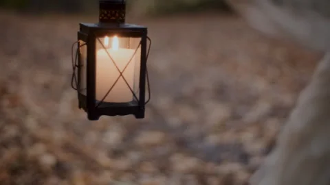 Old candle lamp in the forest Video stock 258209167