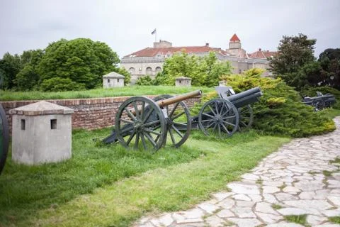 Old cannon from The Second World War Stock Photos