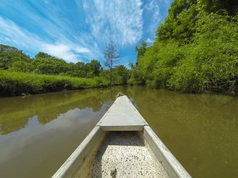 Old canoe down the river. Stock Photos