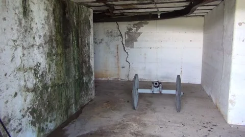 Old Canon Stock Footage 51025005