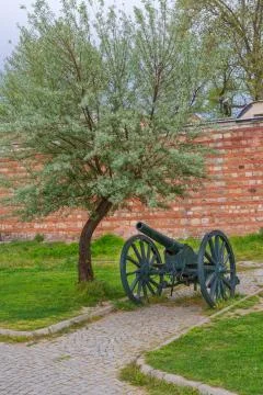 Old canon Stock Photos