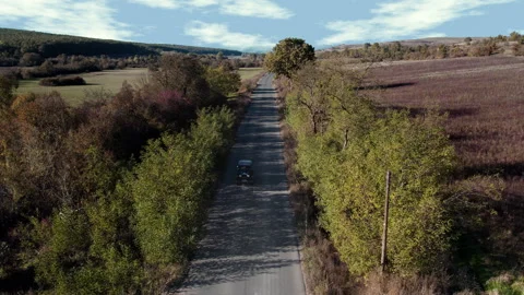 Old Car from 1928 driving on an empty road in the forest Stock Footage 294721273