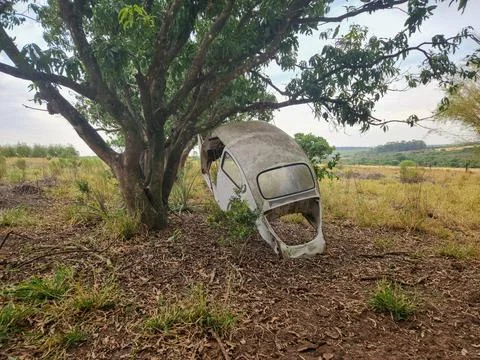 Old Car Body Under Tree Stock Photos