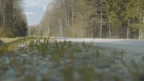 Old car drives on the forest road Stock Footage 83223363