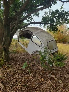 Old car hanging in a tree Stock Photos