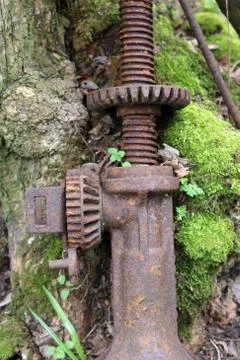 Old car jack by tree Stock Photos