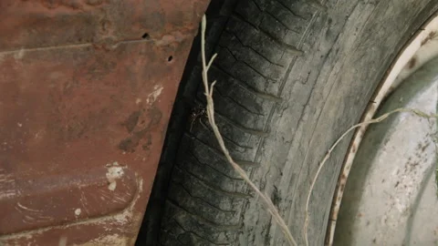 Old car, junk in the field. Overall plan Stock Footage 132218963