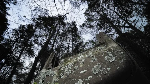 A Old Car Rusting Away in a Forest of Woods Forgotten by Time Stock Footage 106425740