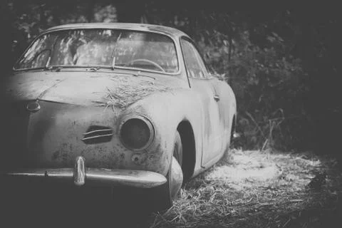 Old Car rusting in forest, black and white 写真素材